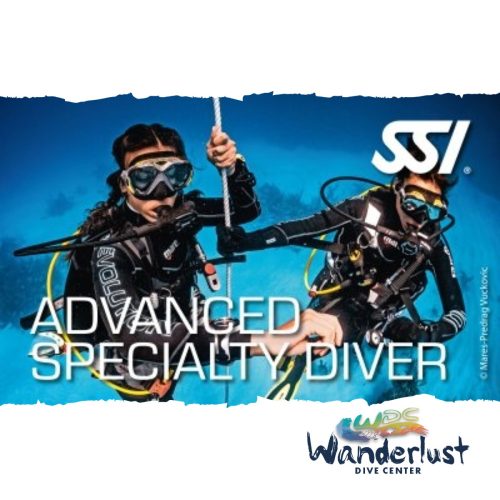 SSI Advanced Specialty Diver graphic featuring two divers practicing skills over a reef