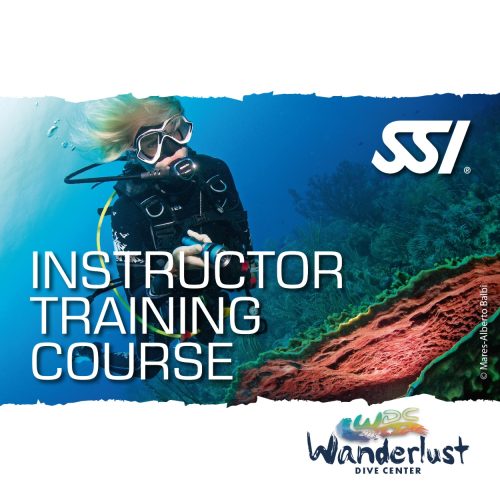 SSI Instructor Training Course graphic showing a diver practicing instructor-level skills