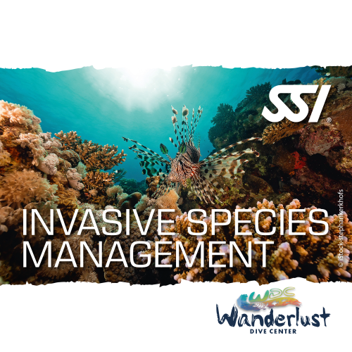 SSI Invasive Species Management specialty graphic featuring a reef scene with diverse marine life