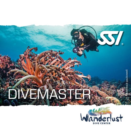 SSI Divemaster graphic featuring a diver swimming above colorful coral on Bonaire
