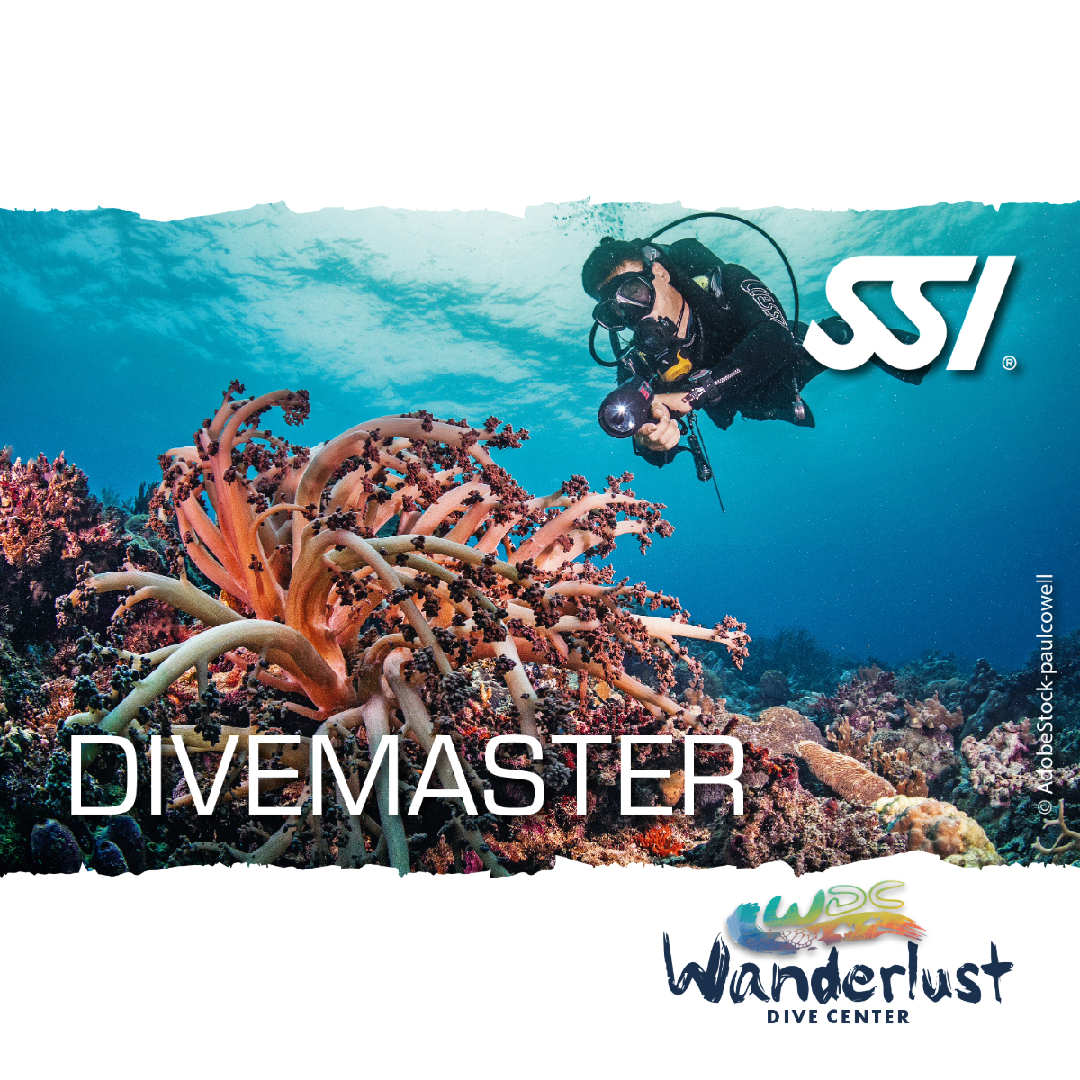 SSI Divemaster graphic featuring a diver swimming above colorful coral on Bonaire