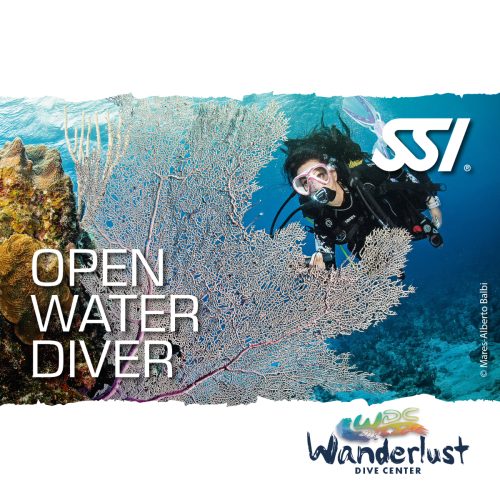 SSI Open Water Diver specialty graphic with a diver practicing skills over a sandy reef