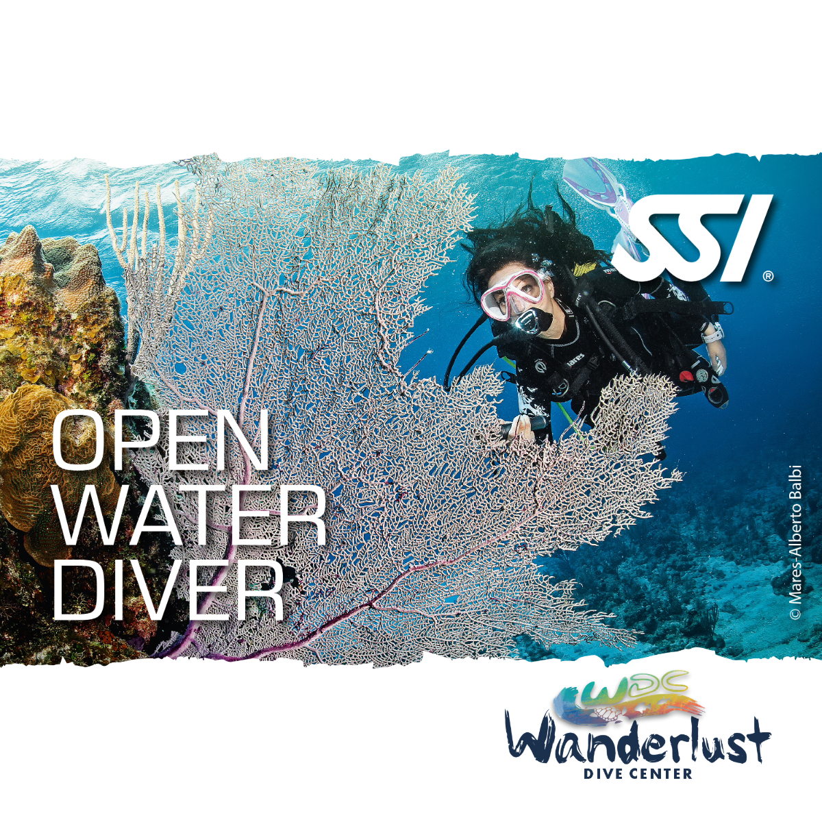 SSI Open Water Diver specialty graphic with a diver practicing skills over a sandy reef
