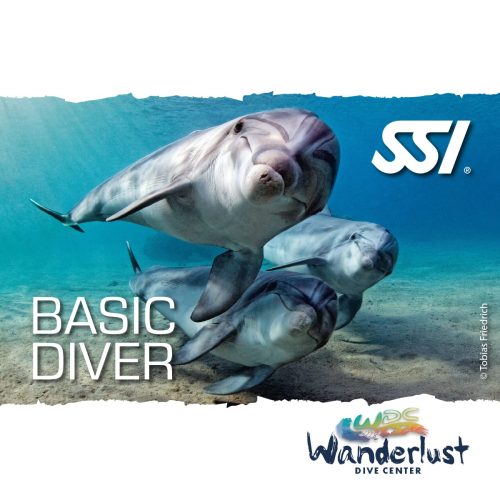 SSI Basic Diver graphic featuring a diver swimming above reef fish in clear blue water