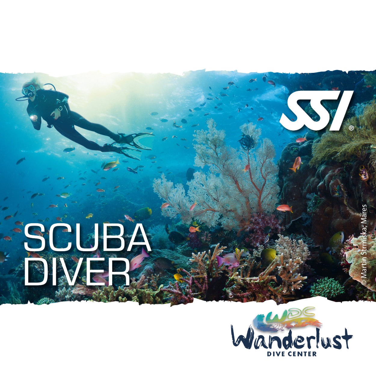 SSI Scuba Diver graphic showing a diver exploring a colorful coral reef