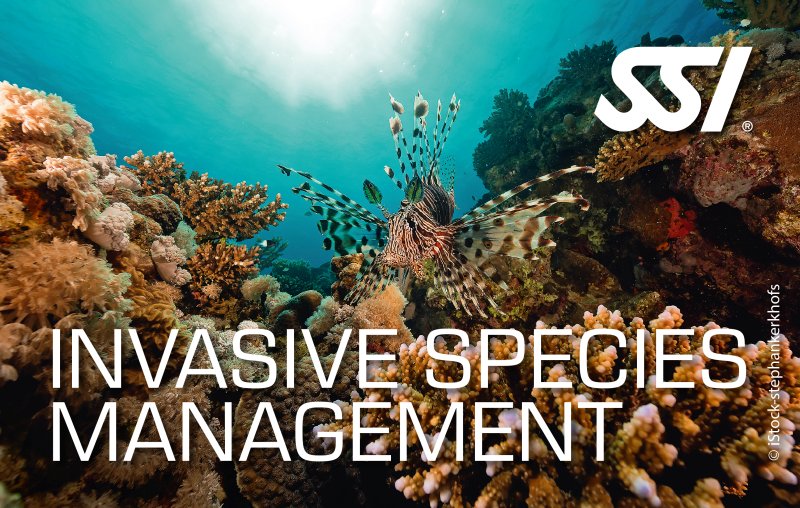 SSI Invasive Species Management (Lionfish)