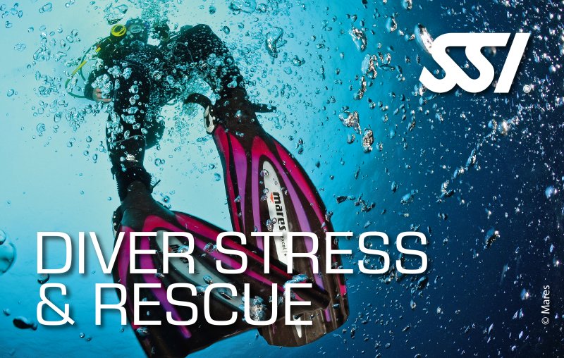SSI Emergency Training Bundle (React Right + Stress & Rescue)