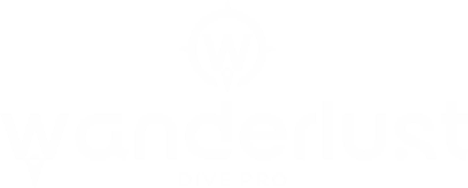 Logo Dive Pro wit